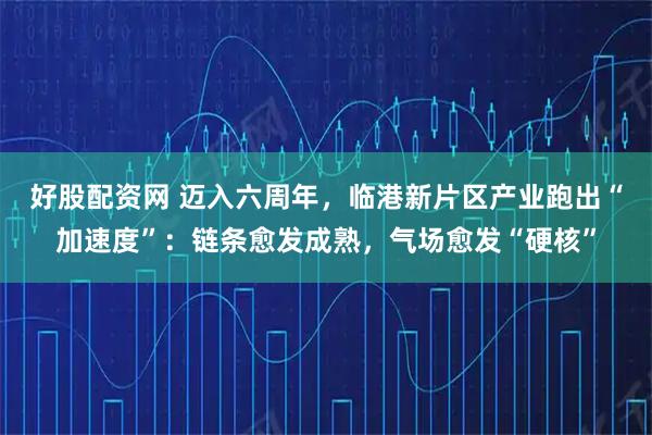 好股配资网 迈入六周年，临港新片区产业跑出“加速度”：链条愈发成熟，气场愈发“硬核”