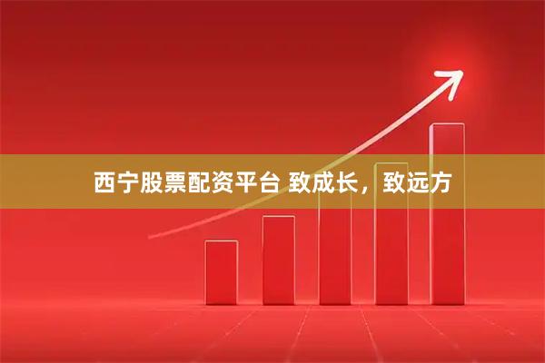 西宁股票配资平台 致成长,致远方